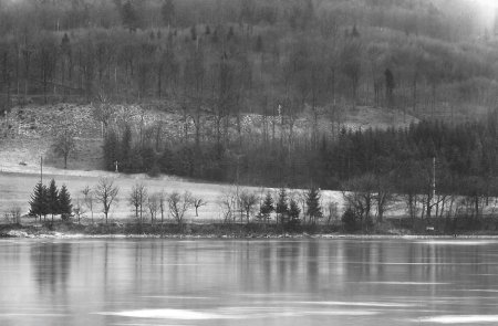 Rhein 1960 - Vom Rhein aus gesehen, der Aufstieg zum Steiner Stich mit dem Kreuz am Weg