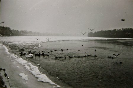 Rhein 1963 - Eiszeit mit Eisgrenze auf der Höhe des Ankers