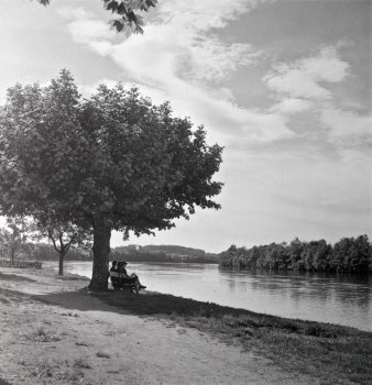 Rhein 1946 - Uferweg unterhalb Sonne