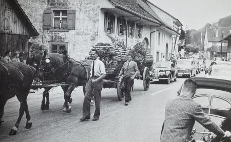 Jugendfest 1953, der Umzugswagen zum Schluss mit einer 150-jährigen Buche aus dem Mumpferwald, geführt von Walter Güntert-Belser und Jakob Frischknecht