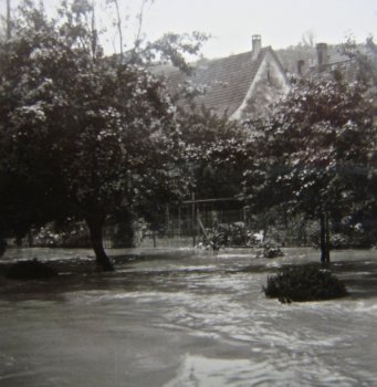 Rhein 1953 - Hochwasser überschwemmt die Gärten