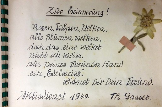 Bild19