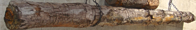 bild 0010