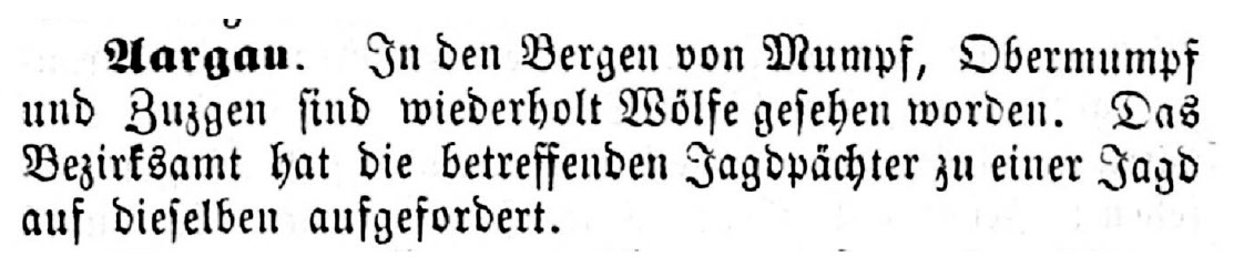 Zeitungstext